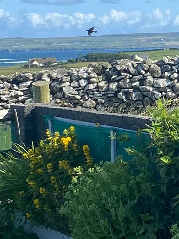 Journey'S End B&B Milltown Malbay Exteriör bild